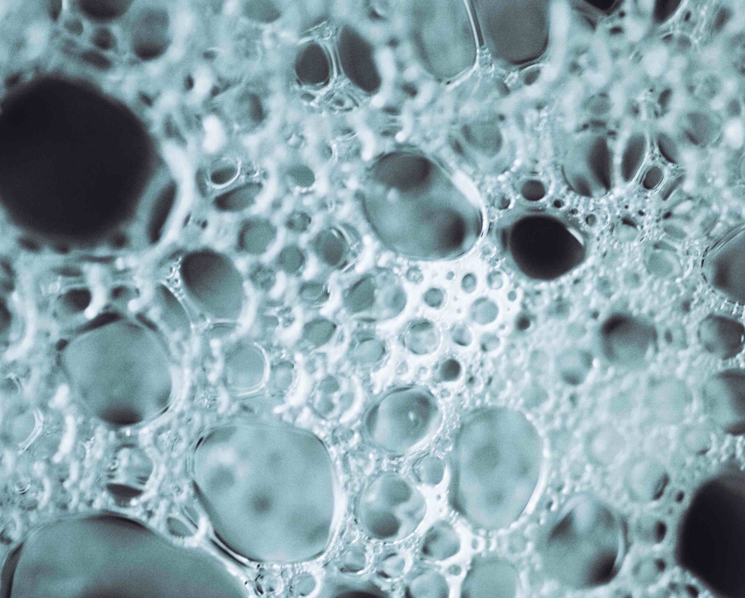 Antiespumantes Lactavin